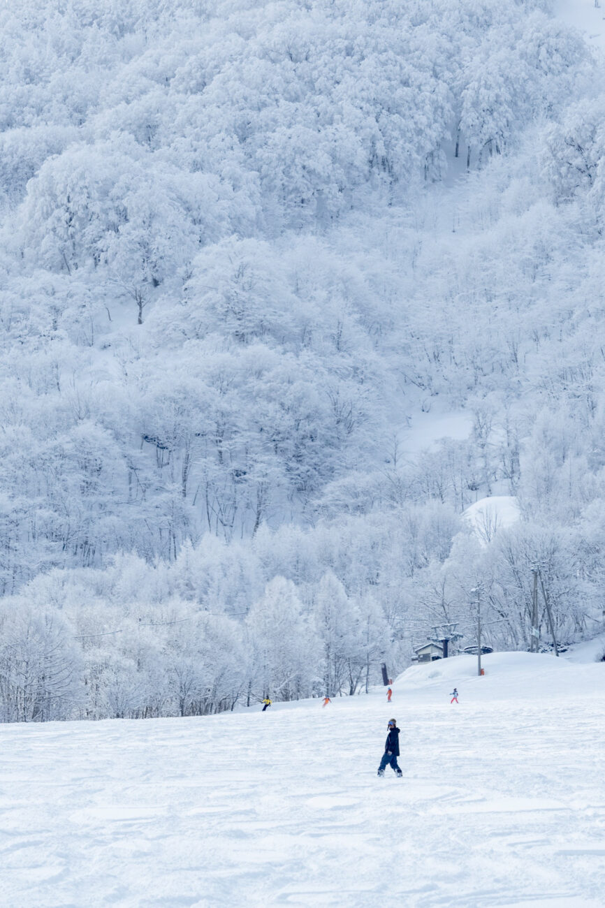 木島平村の雪景色