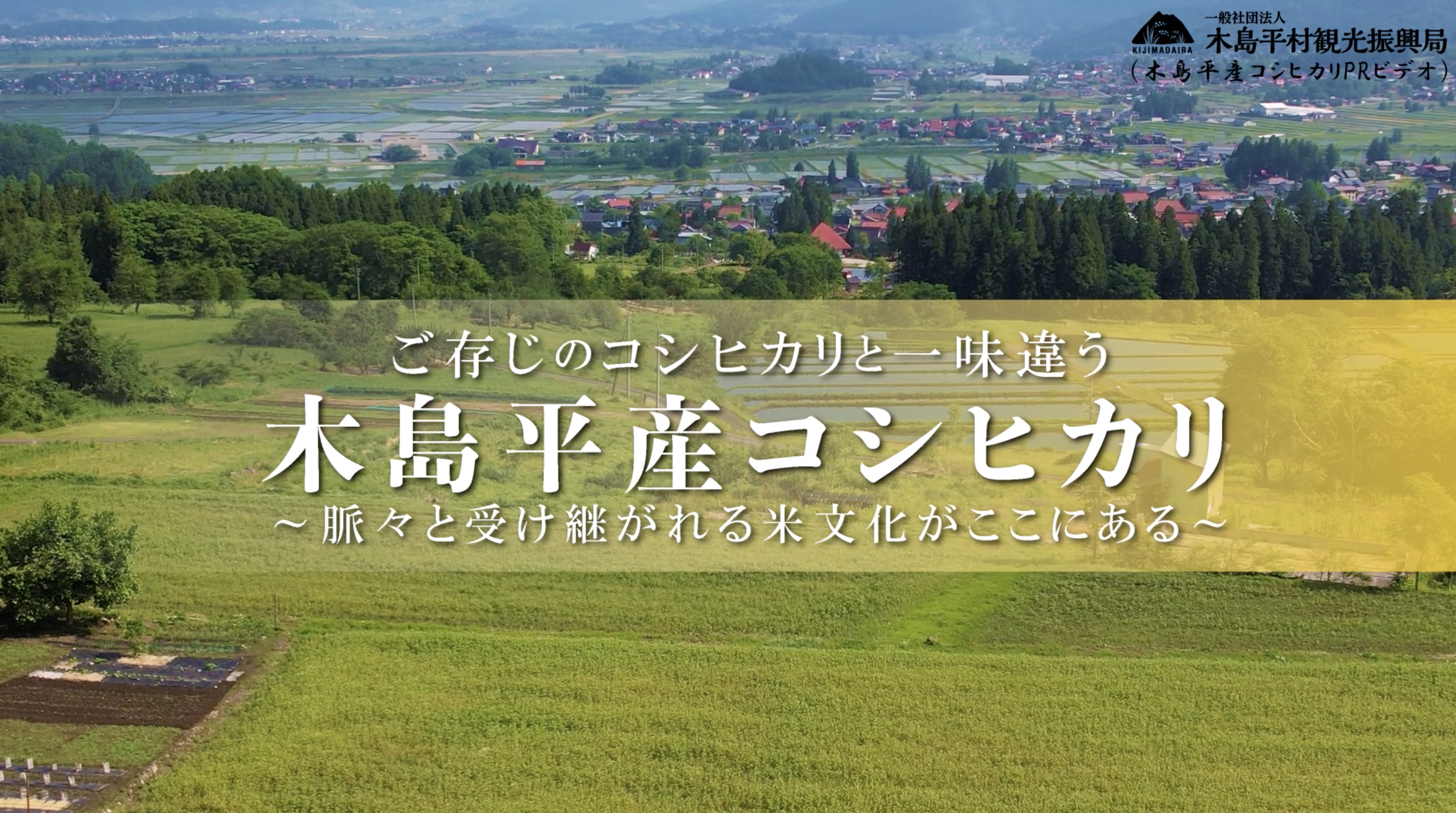 木島平産コシヒカリの魅力を紹介する動画