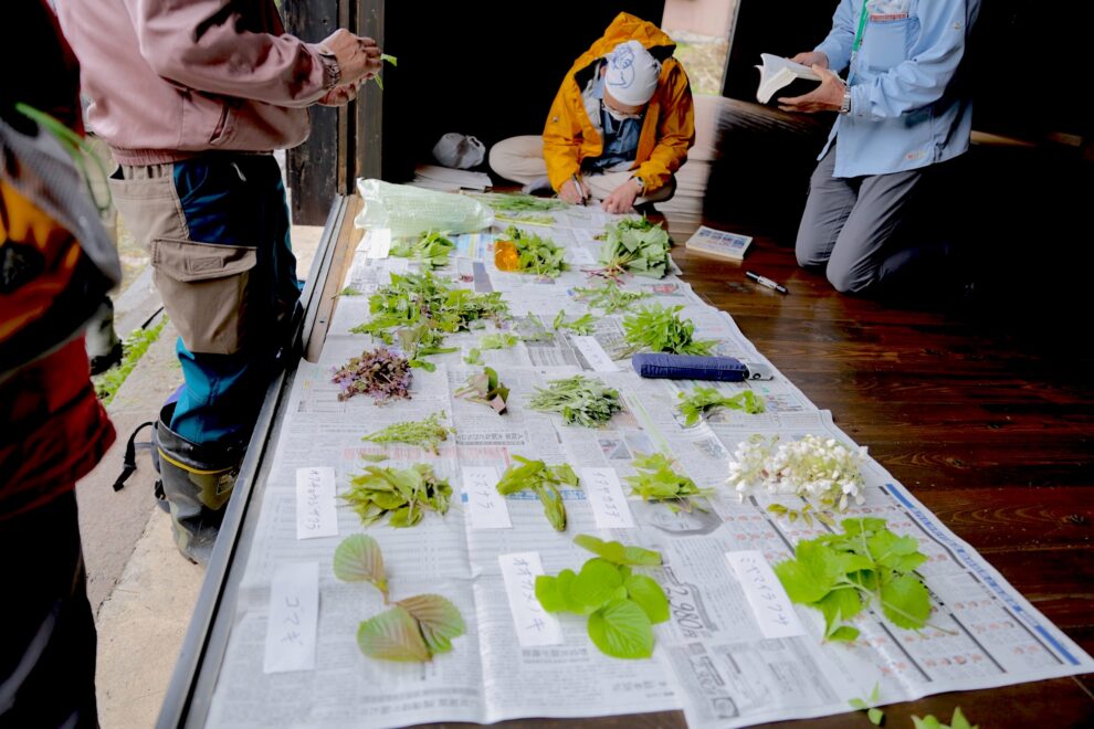 長野県木島平村　道の秘境　「道草を食う」イベントの様子