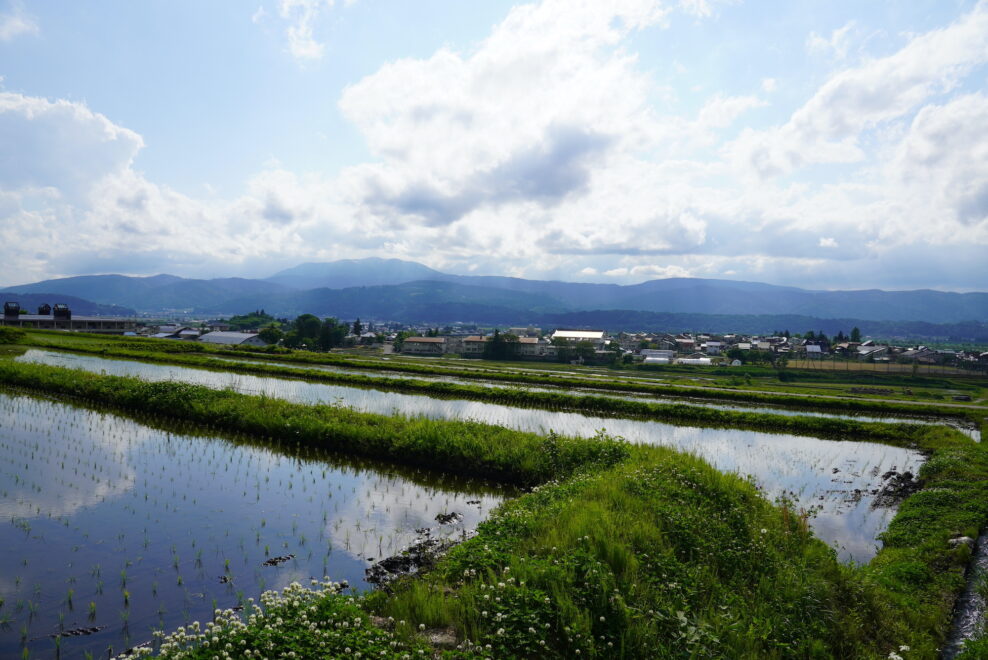 E-バイクでめぐる木島平、6月の田園風景　棚田の風景