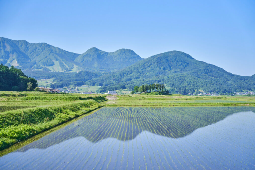 6月におすすめのE-bikeコースで見られる田園風景、田んぼに映る高社山