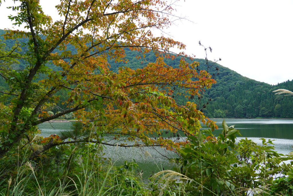 10月・11月におすすめのE-bikeコースにある飯山市の北竜湖の紅葉