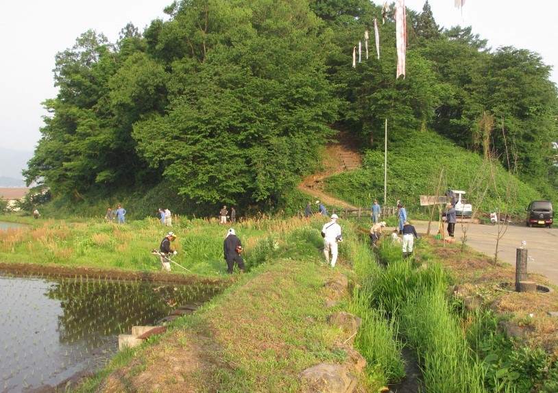 木島平村にあるホタル生息地の保全活動の様子