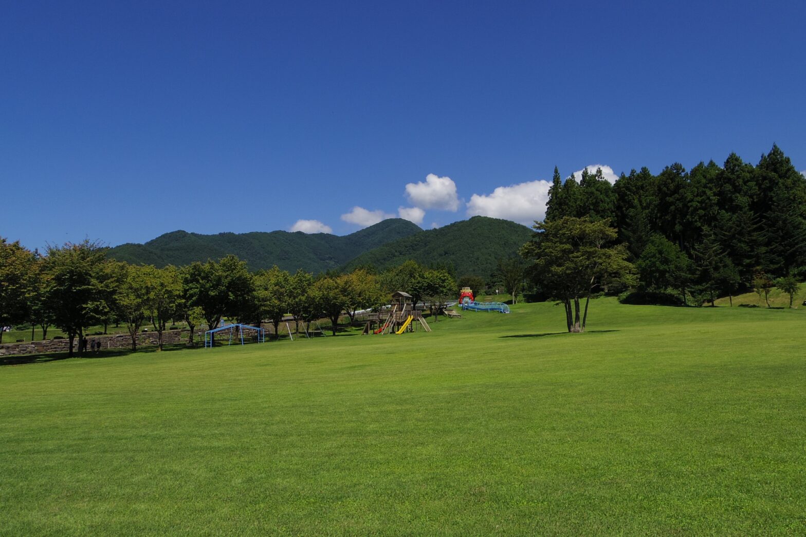 木島平村にあるケヤキの森公園