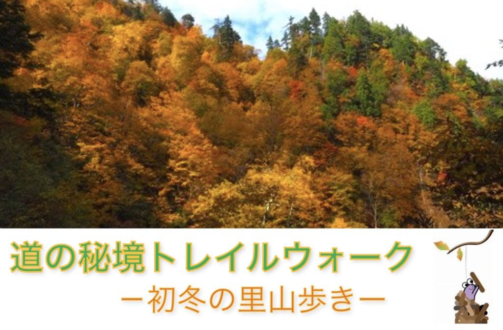 長野県木島平村で行われる道の秘境トレールウォーク2022年12月