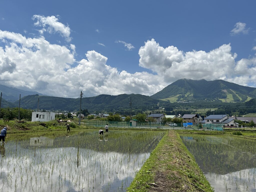 田植えイベント
